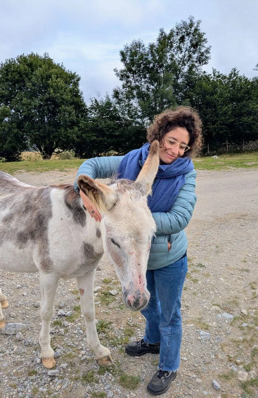 personne caressant un âne avec joie